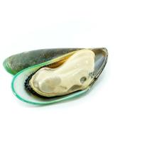 How to clean green mussels