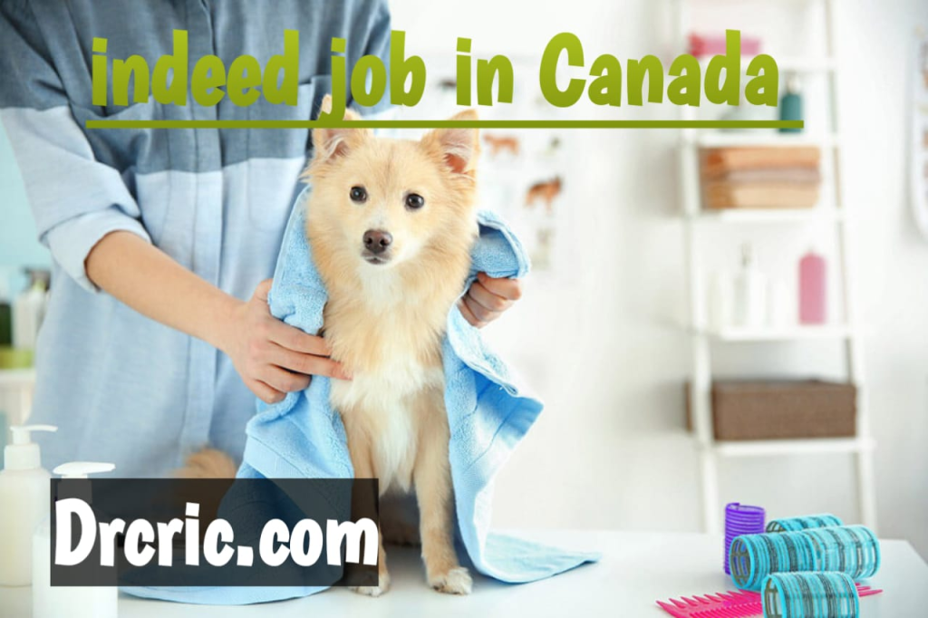 Indeed Jobs In Canada Indeed Dog Groomer Jobs In Canada