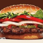 Burger King Whopper Lawsuit: An In-Depth Look at the Legal Battle and Its Impact