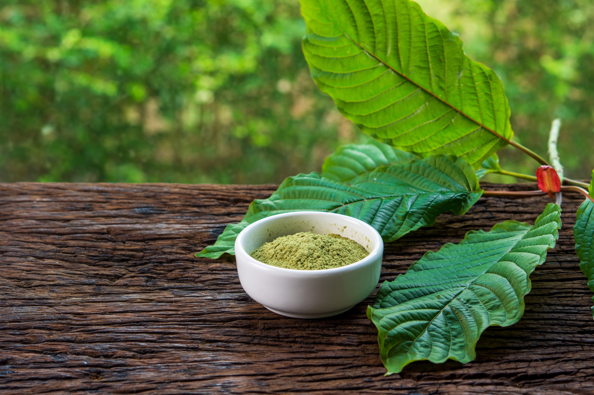 kratom