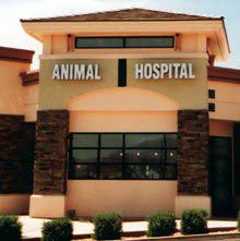 Animal Hospitals