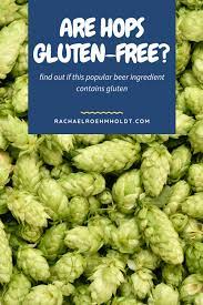 is hops gluten free