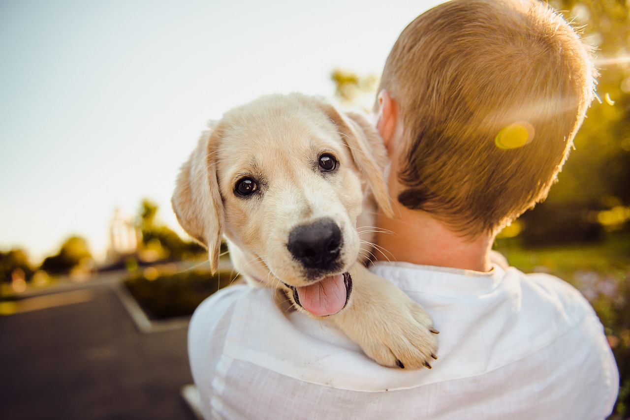 Pet Deposits Unraveled