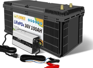 LiFePO4 High Voltage Batteries